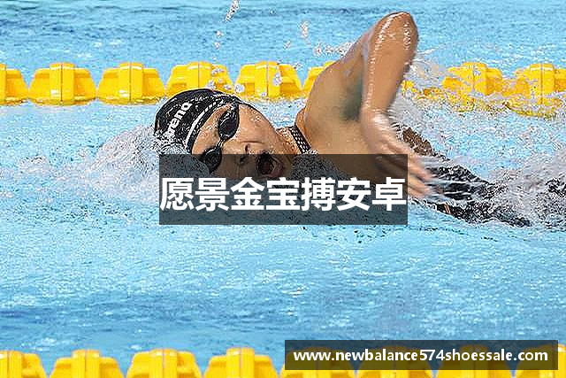 愿景金宝搏安卓